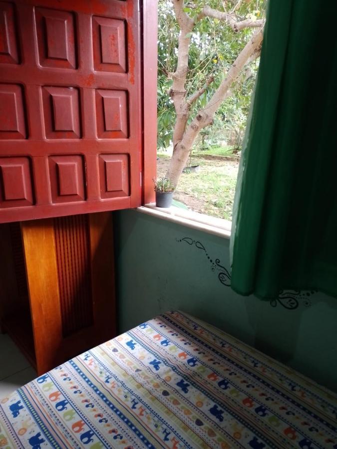 Caju Hostel Alter do Chao Εξωτερικό φωτογραφία