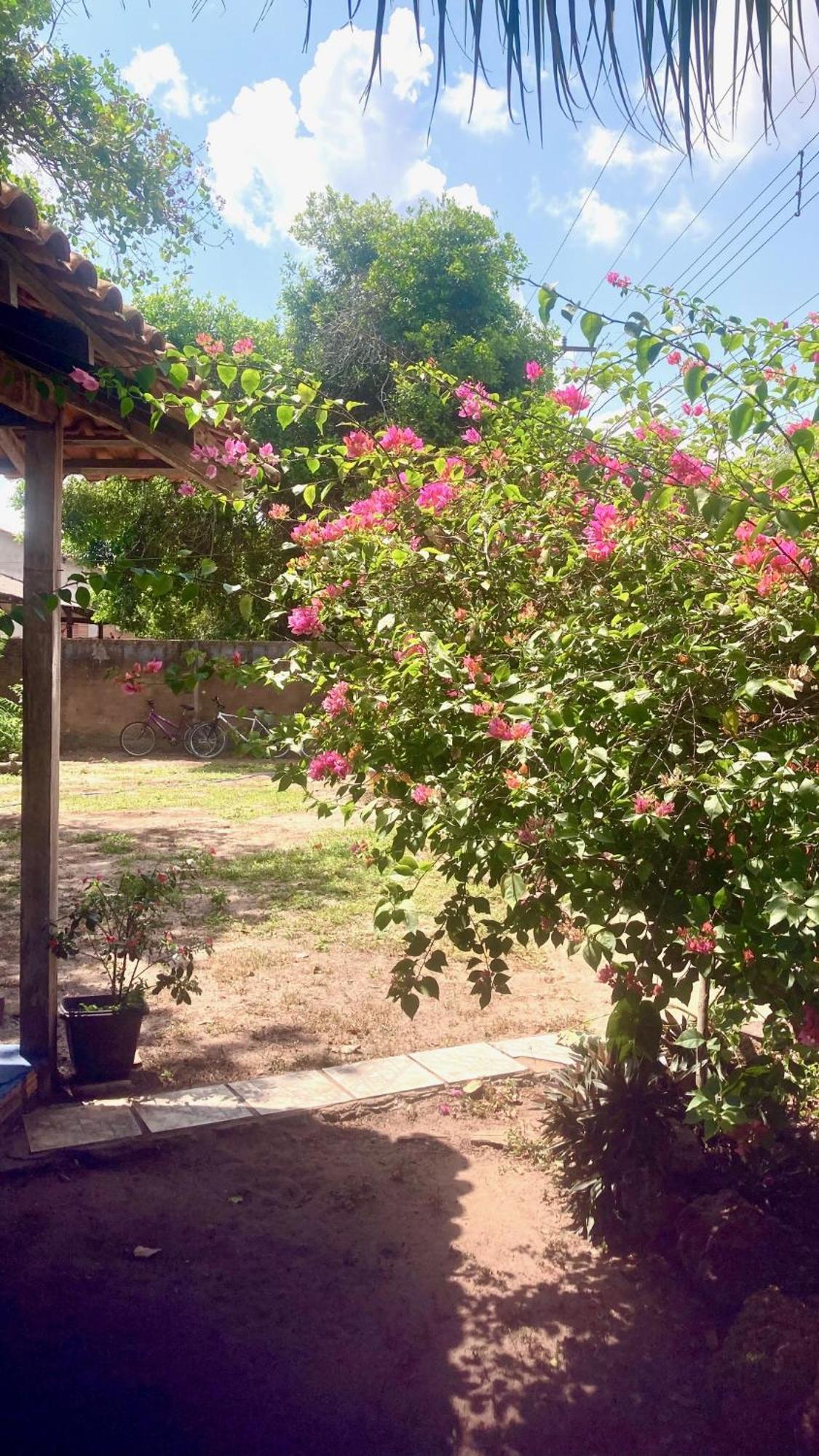 Caju Hostel Alter do Chao Εξωτερικό φωτογραφία